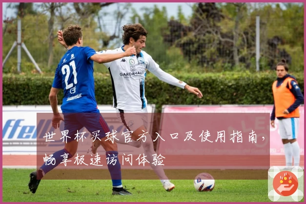 世界杯买球官方入口及使用指南，畅享极速访问体验