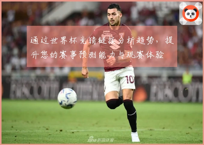 通过世界杯竞猜链接分析趋势，提升您的赛事预测能力与观赛体验