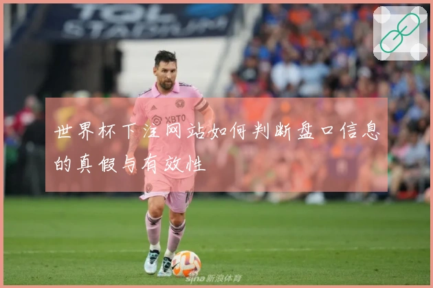 世界杯下注网站如何判断盘口信息的真假与有效性