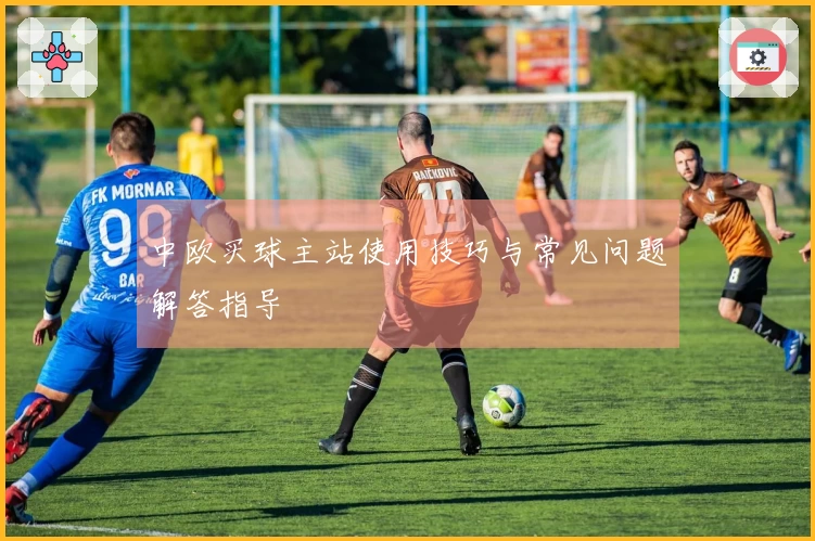 中欧买球主站使用技巧与常见问题解答指导