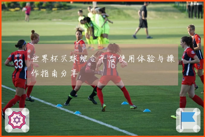 世界杯买球综合平台使用体验与操作指南分享