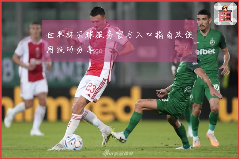 世界杯买球服务官方入口指南及使用技巧分享