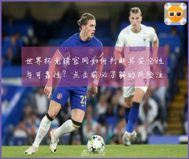 世界杯竞猜官网如何判断其安全性与可靠性？点击前必了解的风险注意事项