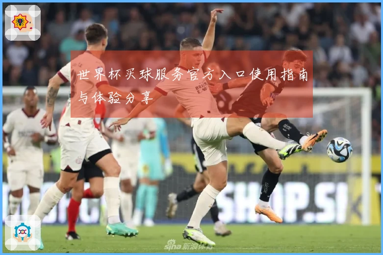 世界杯买球服务官方入口使用指南与体验分享