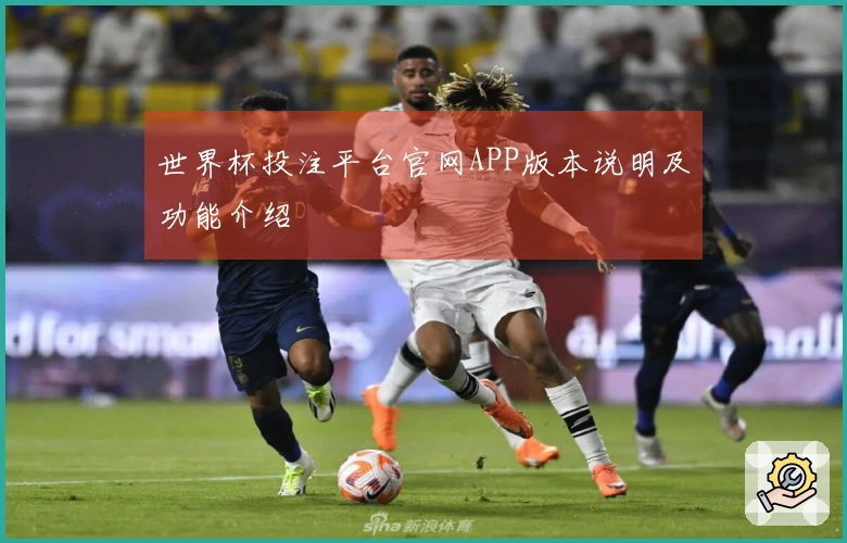 世界杯投注平台官网APP版本说明及功能介绍
