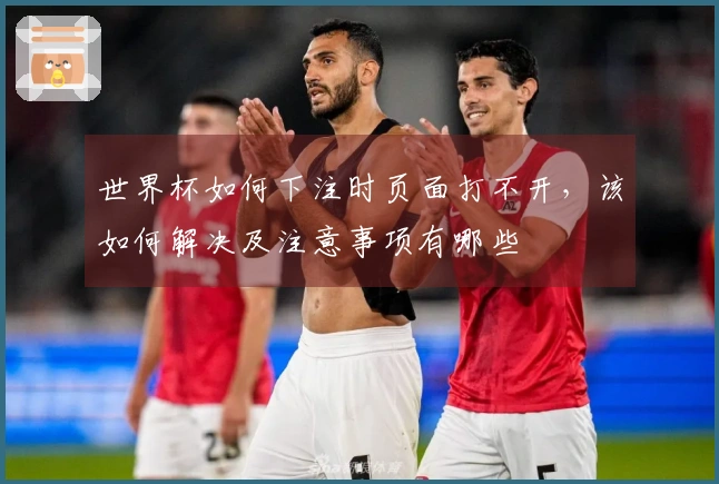 世界杯如何下注时页面打不开，该如何解决及注意事项有哪些