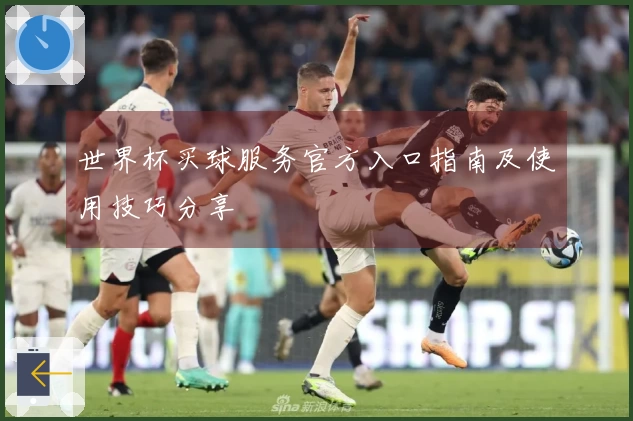 世界杯买球服务官方入口指南及使用技巧分享