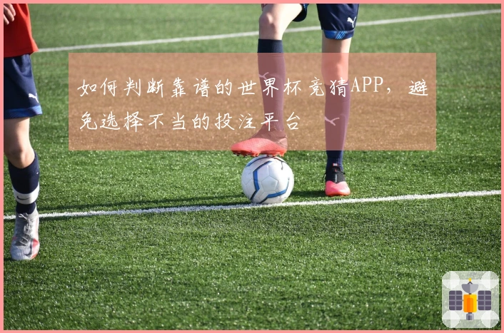 如何判断靠谱的世界杯竞猜APP，避免选择不当的投注平台