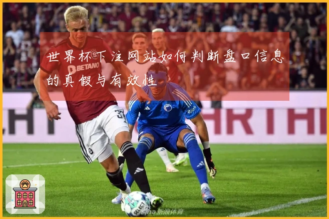 世界杯下注网站如何判断盘口信息的真假与有效性